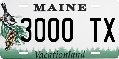 ME license plate 3000TX