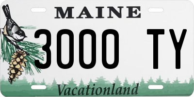 ME license plate 3000TY