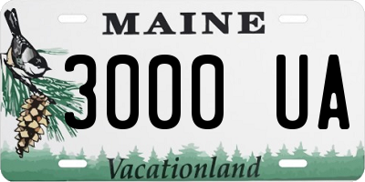 ME license plate 3000UA