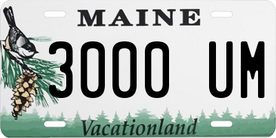 ME license plate 3000UM