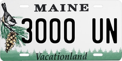 ME license plate 3000UN