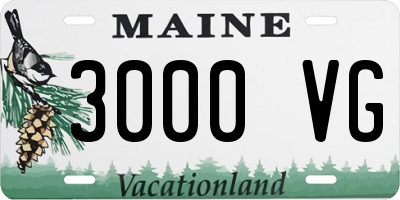 ME license plate 3000VG