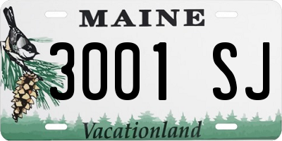 ME license plate 3001SJ