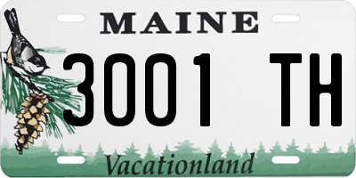 ME license plate 3001TH