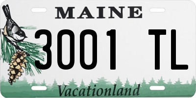 ME license plate 3001TL