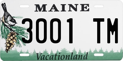 ME license plate 3001TM