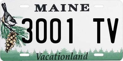 ME license plate 3001TV
