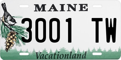 ME license plate 3001TW