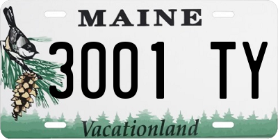 ME license plate 3001TY