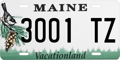 ME license plate 3001TZ