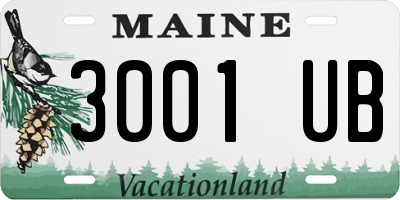 ME license plate 3001UB