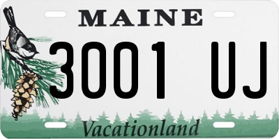 ME license plate 3001UJ
