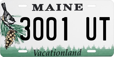 ME license plate 3001UT