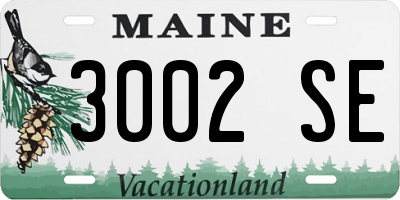 ME license plate 3002SE