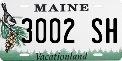 ME license plate 3002SH