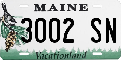 ME license plate 3002SN