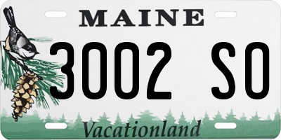 ME license plate 3002SO
