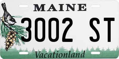 ME license plate 3002ST