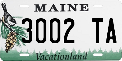 ME license plate 3002TA
