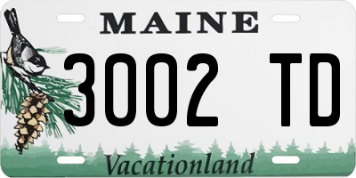 ME license plate 3002TD