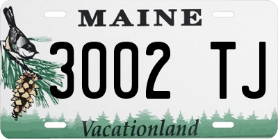 ME license plate 3002TJ