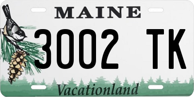 ME license plate 3002TK