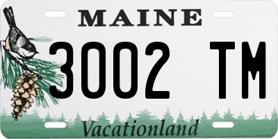 ME license plate 3002TM