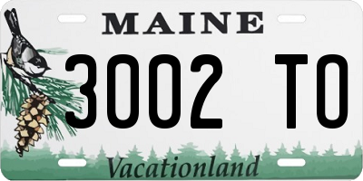 ME license plate 3002TO