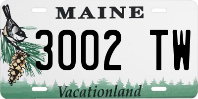 ME license plate 3002TW