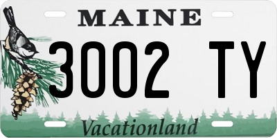 ME license plate 3002TY