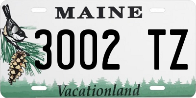 ME license plate 3002TZ