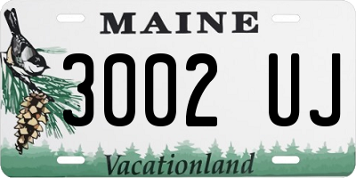 ME license plate 3002UJ