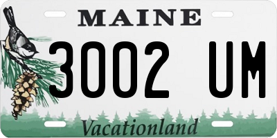 ME license plate 3002UM