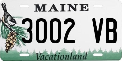 ME license plate 3002VB