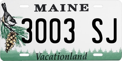 ME license plate 3003SJ