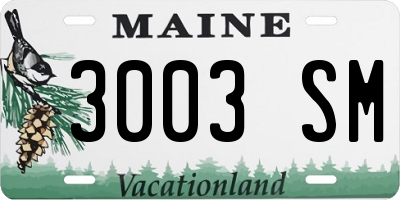 ME license plate 3003SM