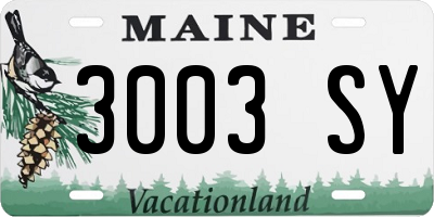 ME license plate 3003SY