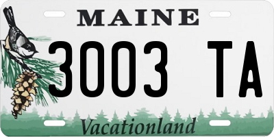ME license plate 3003TA