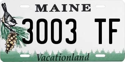 ME license plate 3003TF