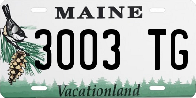 ME license plate 3003TG