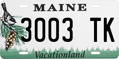 ME license plate 3003TK