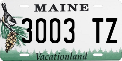 ME license plate 3003TZ