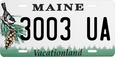 ME license plate 3003UA