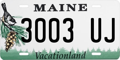 ME license plate 3003UJ