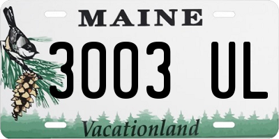 ME license plate 3003UL