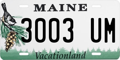 ME license plate 3003UM