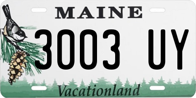 ME license plate 3003UY