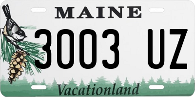 ME license plate 3003UZ