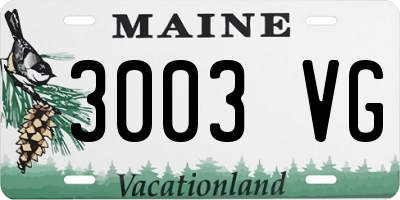 ME license plate 3003VG