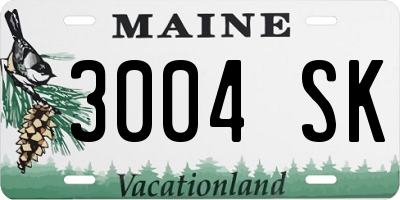 ME license plate 3004SK